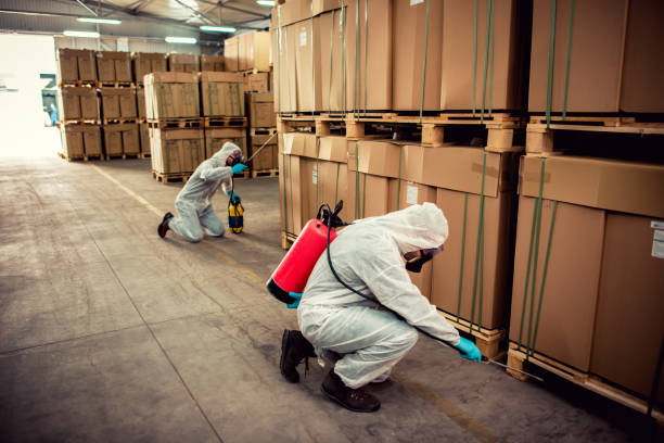 Best Rat Extermination Near Me  in San Rlos, CA