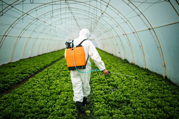 Best Best Pest Control Companies  in San Rlos, CA