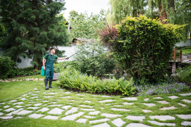 Best Wildlife Control Services  in San Rlos, CA
