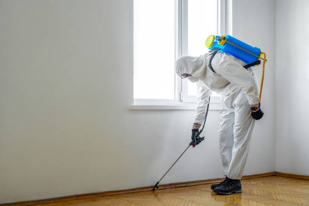 San Carlos, CA Pest Control Company